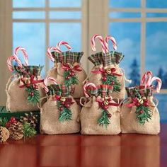 christmas candy canes in burlock bags on a table