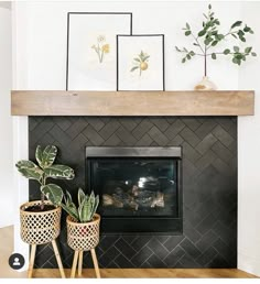 two potted plants sitting on top of a fireplace