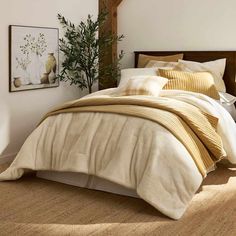 a bedroom with white walls and beige bedding in the middle of it, there is a potted plant on the wall next to the bed