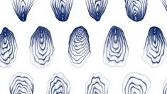 an image of different shapes in blue ink