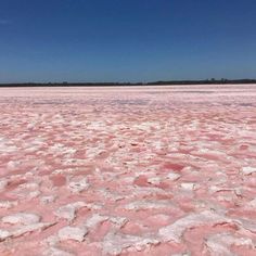 the salt lake is pink and white with lots of small bubbles on it's surface