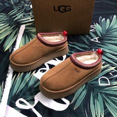 Brand New With Box Ugg Tazz, Embroidered Slippers, Shoes Ugg, Ugg Tasman, Women's Slippers, Womens Uggs, Ugg Shoes, Shoe Box, Womens Slippers