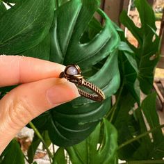 This wire wrapped ring is made with antique brass plated wire and jasper. Size 7.5 Jasper Ring, Wire Wrapped Ring, Wire Wrapped Rings, Wrap Rings, Ring Size 7, Wire Wrapped, Wire Wrapping, Antique Brass, Ring Size