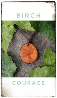 a book cover with green leaves and a small wooden disc on it's string