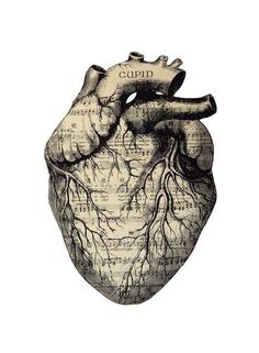 the human heart is shown in this black and white drawing, with musical notes on it