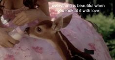 Baby Deer, Just Girly Things, الرسومات اللطيفة, Pretty Quotes, A Video, Girly Things, Instagram Account, Mood Board