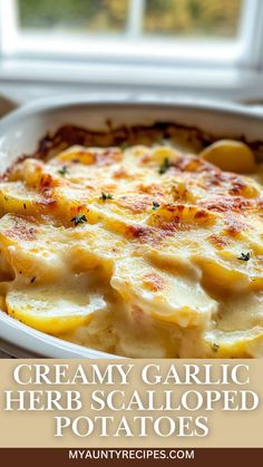 creamy garlic herb scalloped potatoes in a white casserole dish with text overlay