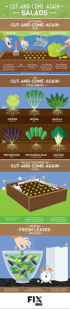 the different stages of plant life in an area with water and landforms, including plants