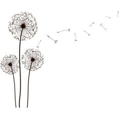 a dandelion blowing in the wind with a quote on it that says, at some point you just have to let go