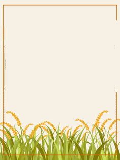 an image of a grass field with a golden frame on it's side, and the