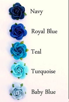 four blue flowers are arranged in the same row