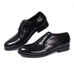 Timeless cow leather dress shoes with pigskin lining, perfect for adding a classic dapper touch to formal attire. Men's Oxford Shoes, Wingtip Oxford Shoes, Shoe Crafts, Oxford Shoes Men, Wingtip Oxford, Leather Dress Shoes, Leather Dress, Casual Everyday, Lace Up Shoes