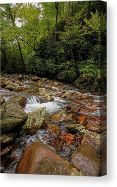 a river with rocks and trees in the background canvas print featuring a stream running through it