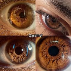 Caramel Eyes, Swag Anime, Shades Of Brown Eyes, Brad Pitt Fury, Pretty Eyes Color, Rare Eye Colors, Brown Eyes Aesthetic, Pinterest Funny, Beautiful Eyes Color