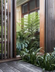 a wooden deck with lots of green plants in front of a window on the side of a house