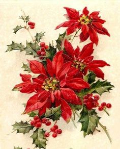 an old fashioned christmas card with poinsettis and holly leaves on it's side