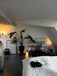 a bedroom with a bed, couch and potted plant on the floor in front of it