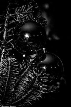 black and white photograph of christmas ornaments on a pine tree in the dark with snow