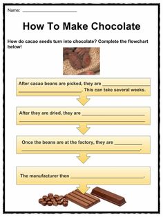 chocolate worksheet with instructions to make it look like they are making their own food