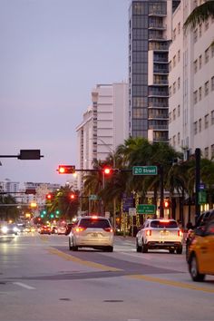 cars driving down the street at dusk with palm trees and tall buildings in the background