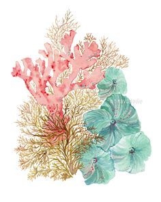 watercolor painting of corals and seaweed