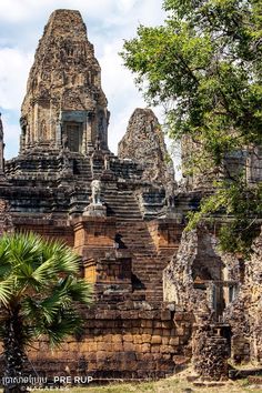 an ancient temple in the jungle surrounded by trees