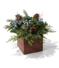 a wooden vase filled with green plants and pine cones on top of a white background