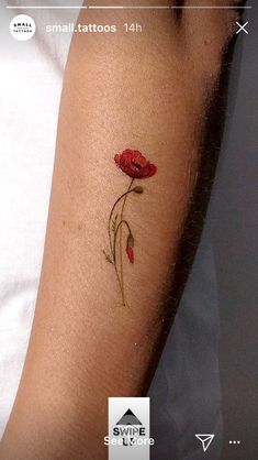 a small red flower tattoo on the arm