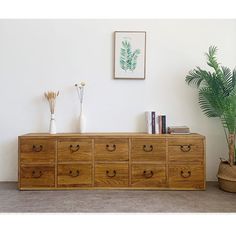 a wooden dresser sitting next to a potted plant