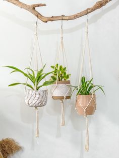 three hanging planters with plants in them