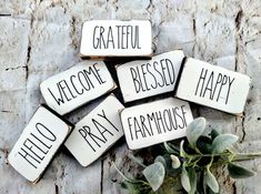 some cookies with words on them sitting next to a potted plant and flowers in front of it