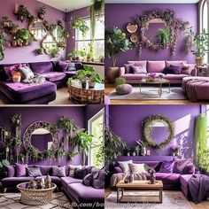 purple living room with lots of plants in the window sill and couches on either side