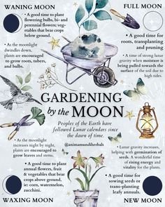 Gardening By The Moon, Witchy Garden, Planting Plants, Tattoo Plant, Green Witchcraft, Witch Garden, Magic Herbs, Herbal Healing, Herbal Magic