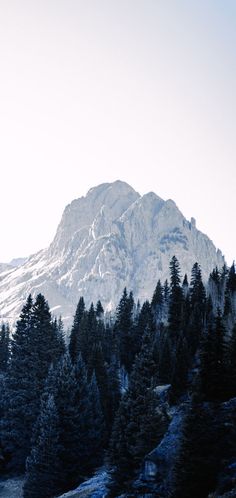 the mountain is covered in snow and surrounded by trees