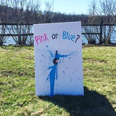 a sign that says pink or blue in front of some water and grass with trees behind it