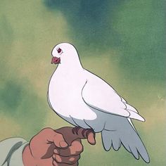 a white bird perched on top of a persons hand