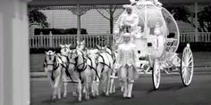 a group of people riding on the back of a horse drawn carriage