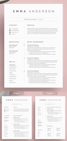 the professional resume template is ready to be used for any job