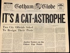 the front page of a newspaper with an article about it's cat astropher