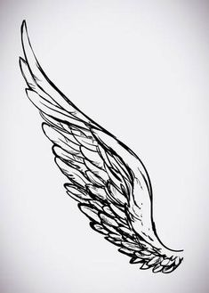 black and white drawing of an angel wing