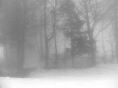 a snowboarder is going down a hill in the foggy woods on a snowy day