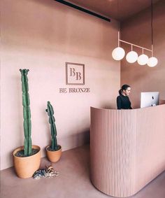 a woman sitting at a desk in front of a laptop computer next to a cactus