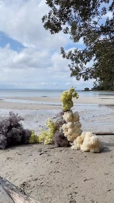 a bunch of stuff that is on the beach