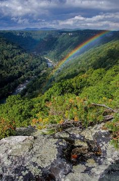 a rainbow shines in the sky over a valley with trees and rocks on both sides