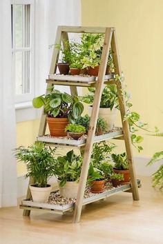 a wooden plant stand filled with potted plants