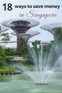 the water is spraying up in front of the trees and fountains at gardens by the bay