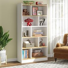 a living room with a chair, bookshelf and potted plant