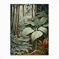 a painting of tropical plants and trees in the woods by corbi - art