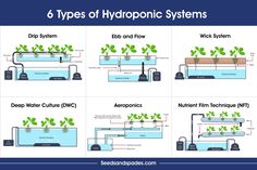 six types of hydroponic systems