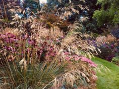 some very pretty flowers and plants in the grass